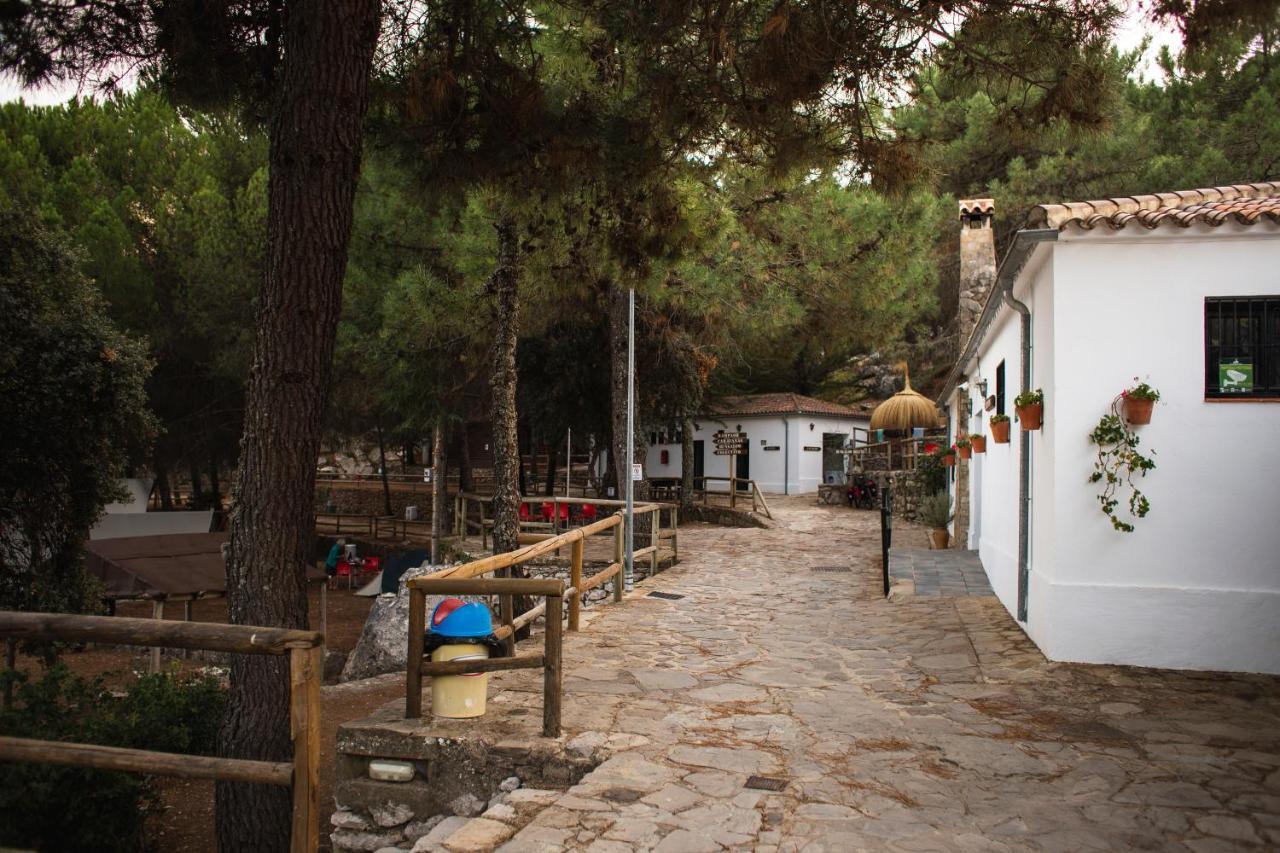 Camping Tajorodillo Grazalema Exterior photo